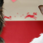 cropped-IMG_5883.jpg