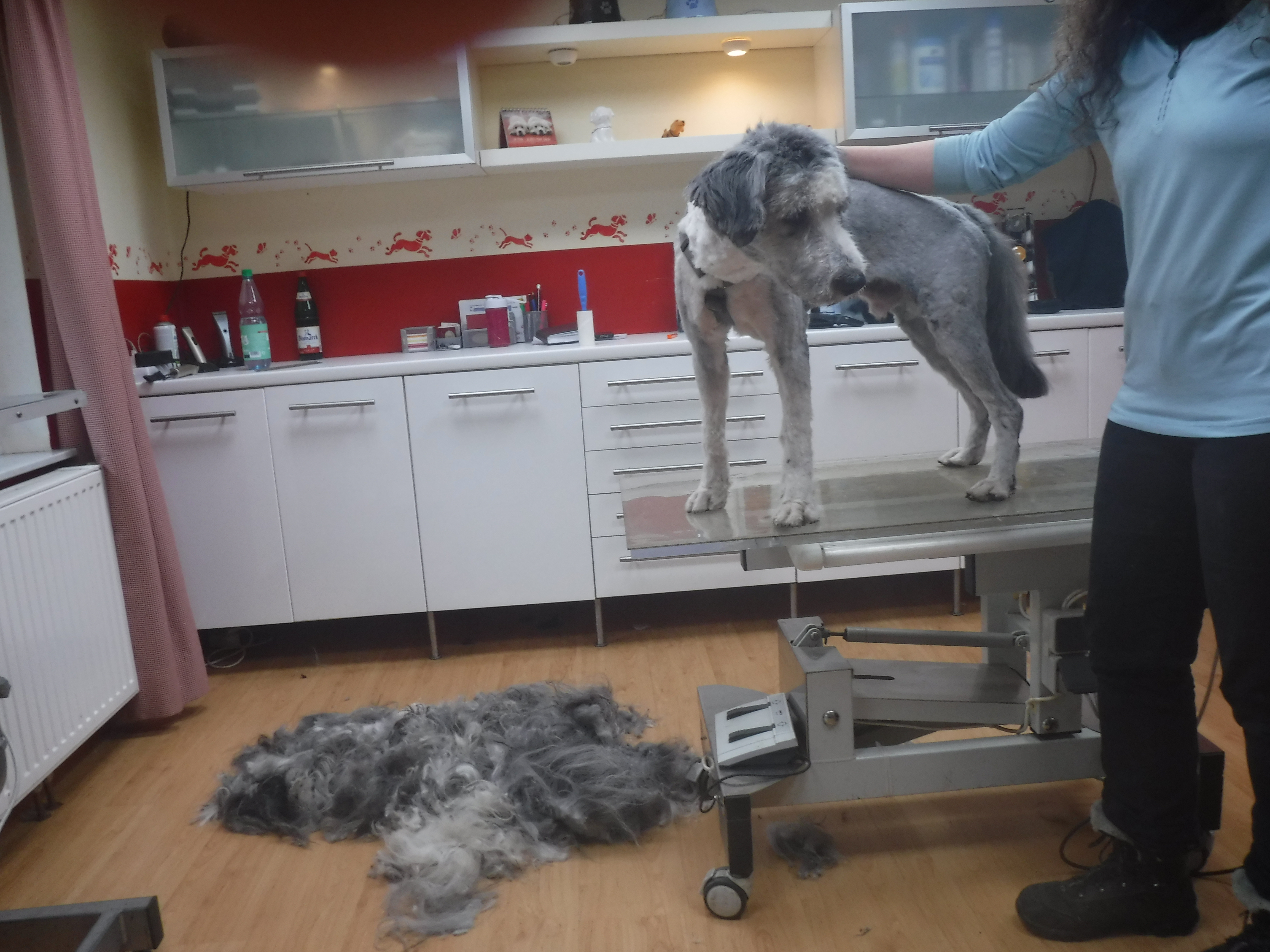 Fussel befreit vom Filz